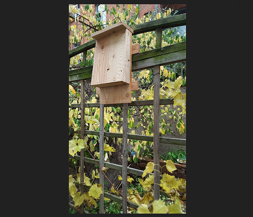 Fertiger Fledermauskasten, Foto: M. Ramezani Fertiger Fledermauskasten, Foto: M. Ramezani