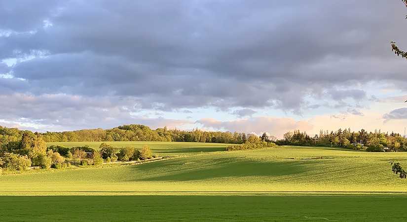 Quelle: Bürger für den Erhalt des Naturraumes Merketal / R.Vollandt Quelle: Bürger für den Erhalt des Naturraumes Merketal / R.Vollandt