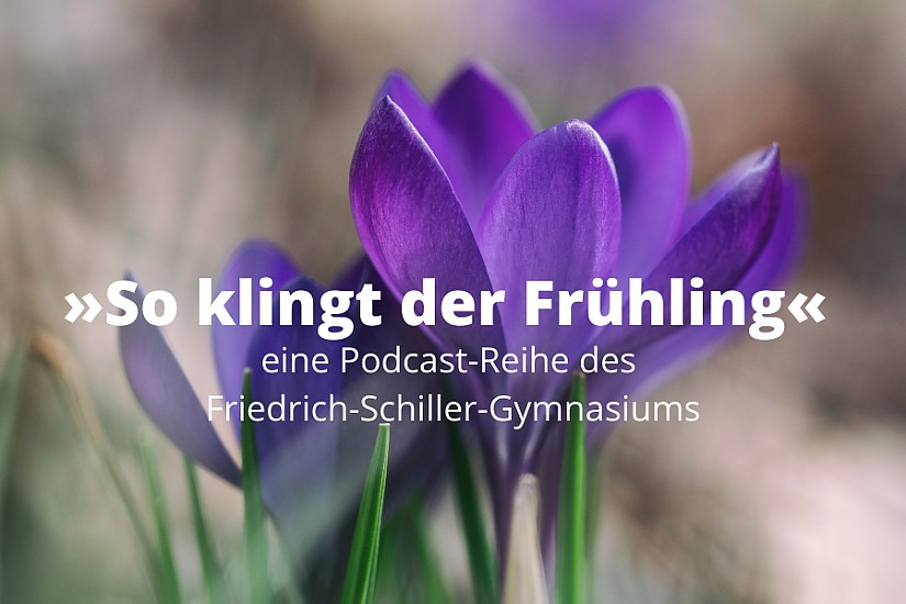 »So klingt der Frühling« , Bildquelle: unsplash »So klingt der Frühling« , Bildquelle: unsplash