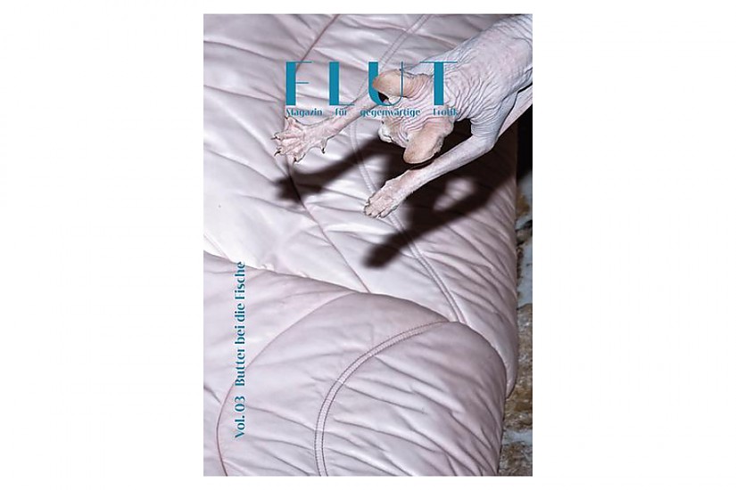 Cover: FLUT Vol. 3