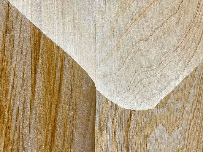 Holz - Symbolbild, Quelle: Den Trushtin (unsplash) Holz - Symbolbild, Quelle: Den Trushtin (unsplash)