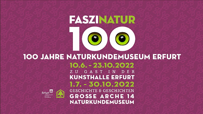 Flyer: Faszinatur 100 – 100 Jahre Naturkundemuseum
