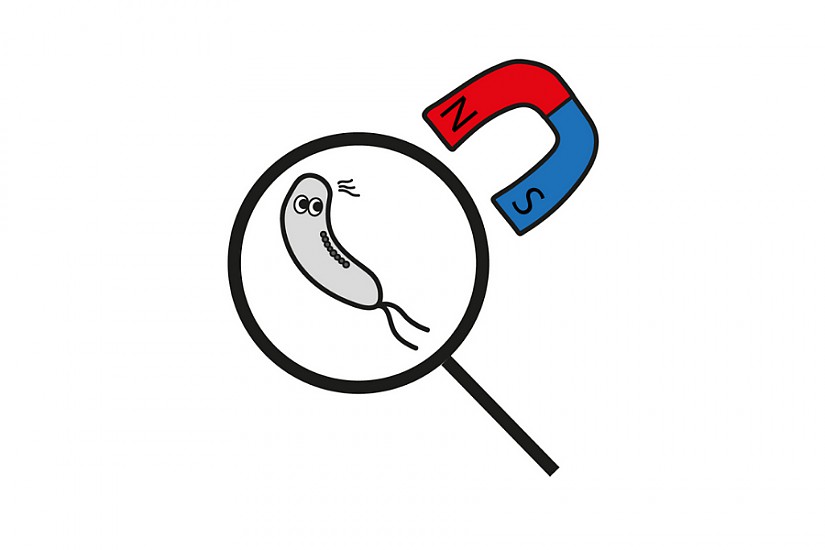 Logo: Mikrobenjäger Logo: Mikrobenjäger