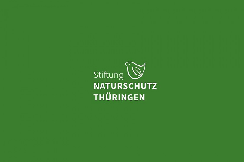 Logo: Stiftung Naturschutz Thüringen Logo: Stiftung Naturschutz Thüringen