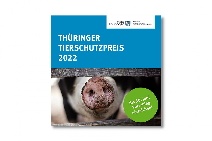 Flyer: Thüringer Tierschutzpreis 2022 Flyer: Thüringer Tierschutzpreis 2022