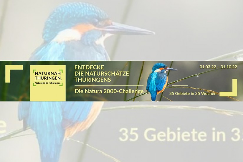 Flyer: Natura 2000-Challenge Flyer: Natura 2000-Challenge