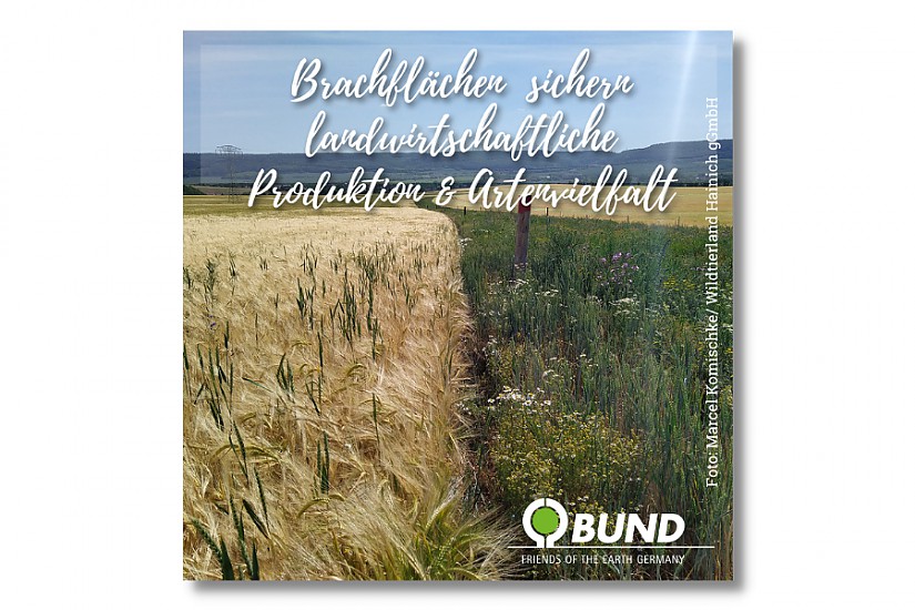 Flyer: BUND Thüringen, Quelle: (Marcel Komischke / Wildtierland Hainich gGmbH) 