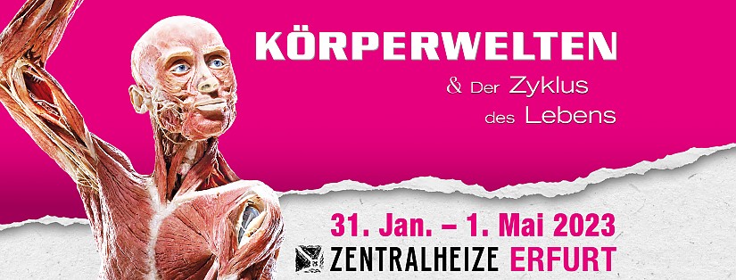 Ausstellungsplakat: »KÖRPERWELTEN & Der Zyklus des Lebens« Ausstellungsplakat: »KÖRPERWELTEN & Der Zyklus des Lebens«