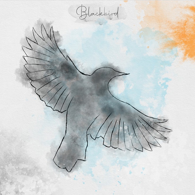 Single-Cover: "Blackbird" Andreas Wolff, Cover Artwork: Maximilian Hein