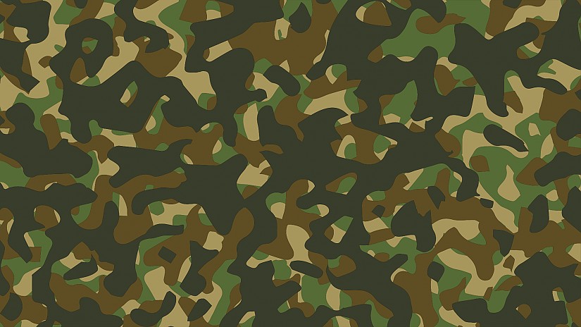 Camouflage-Muster, Quelle: Pixabay Camouflage-Muster, Quelle: Pixabay