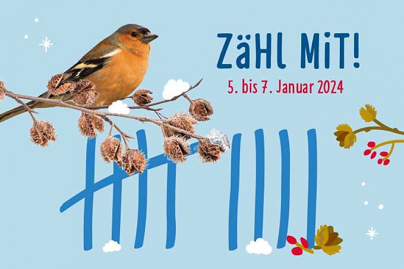 Flyer: Die Stunde der Wintervögel, Quelle: NABU