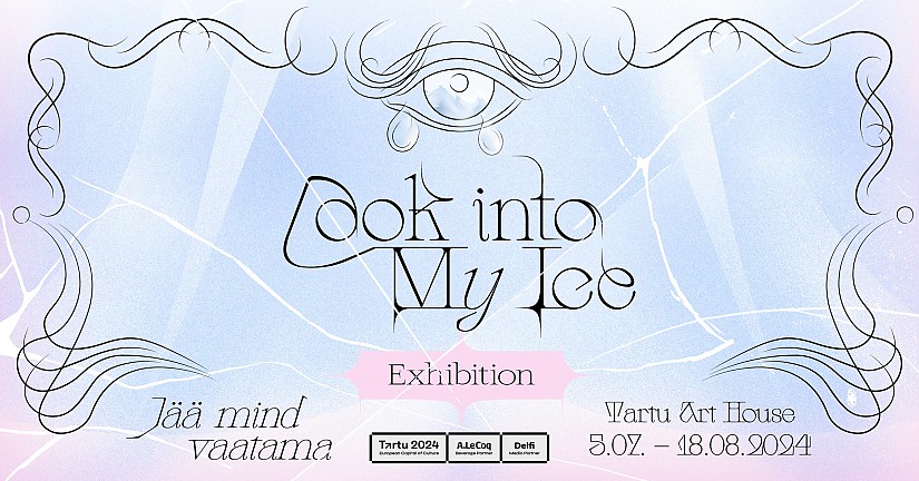 Banner zum transeuropäischen Kunstprojekt »Look into my Ice«