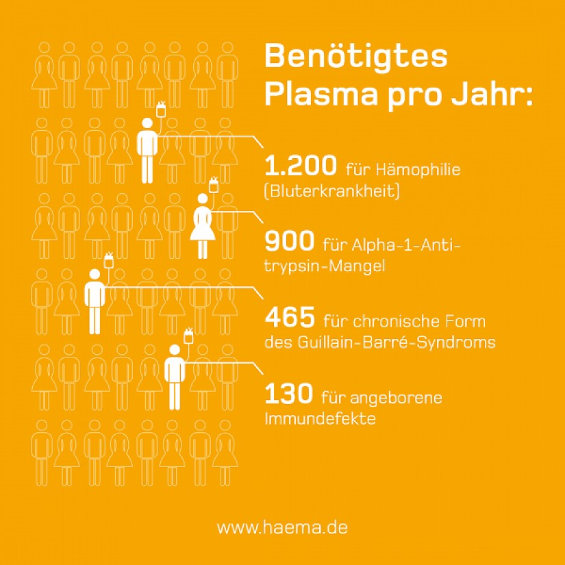 Flyer: Haema Blutspendedienst