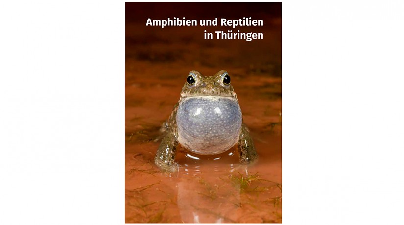 Cover: Atlas der Amphibien und Reptilien Thüringens Cover: Atlas der Amphibien und Reptilien Thüringens