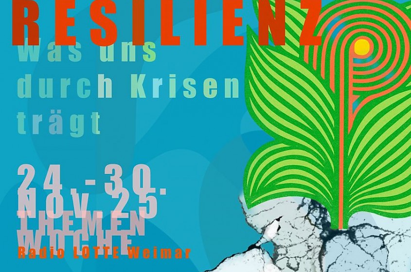 Resilienz Bild: Smalley