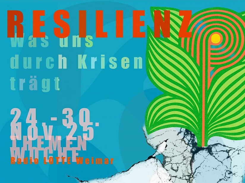 Resilienz Bild: Smalley