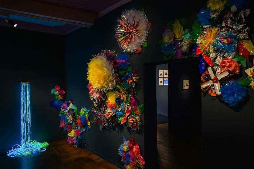 Bild: Archiv ACC Galerie Weimar / Kunstwerk Growth — Flowers von Marte Kiessling 