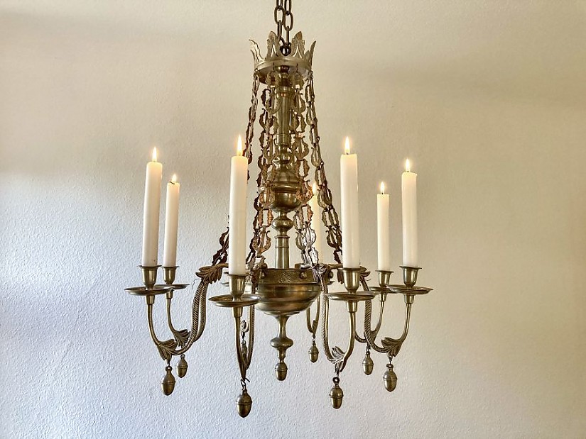 Die Marienburger Zinnspinne, achtarmig. Foto: Claus Bach