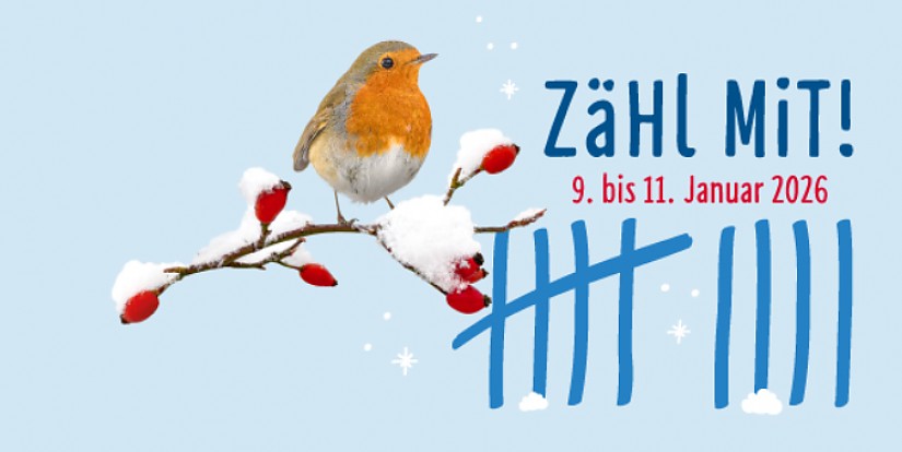 Flyer: Stunde der Wintervögel 2026