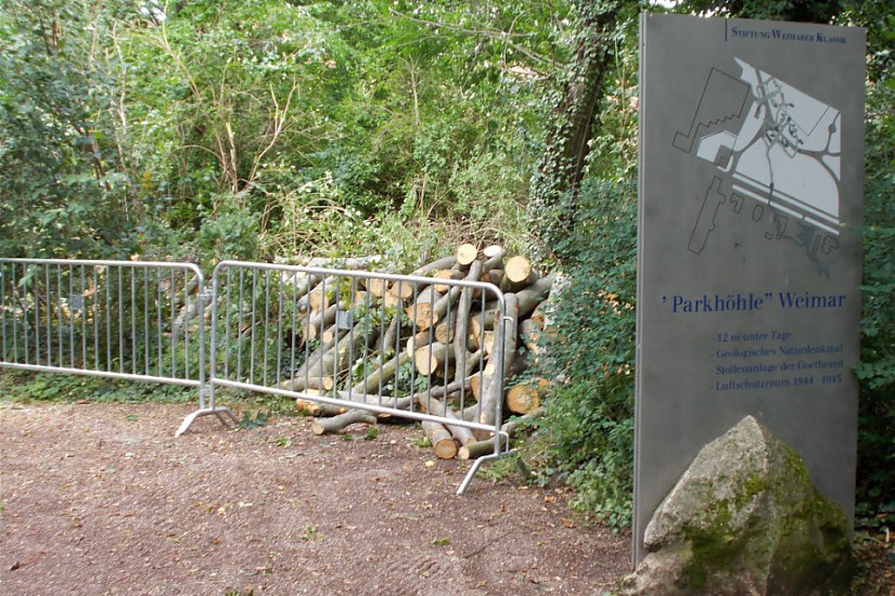 Parkhöhle Baumfällung, Weimar 2018, Quelle: Radio LOTTE