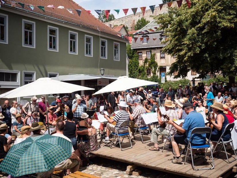 Rudolstadt-Festival-2016, Foto: Frank Szafinski