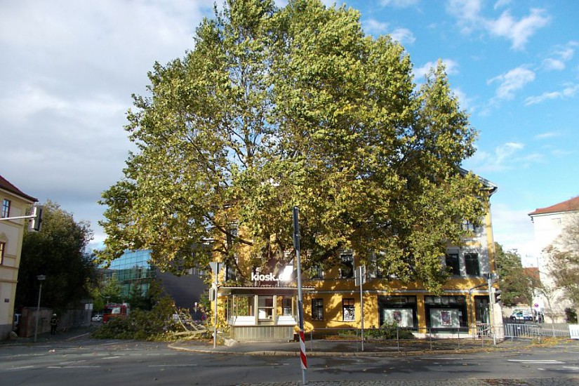 Sophienstiftsplatz, Foto: Radio LOTTE