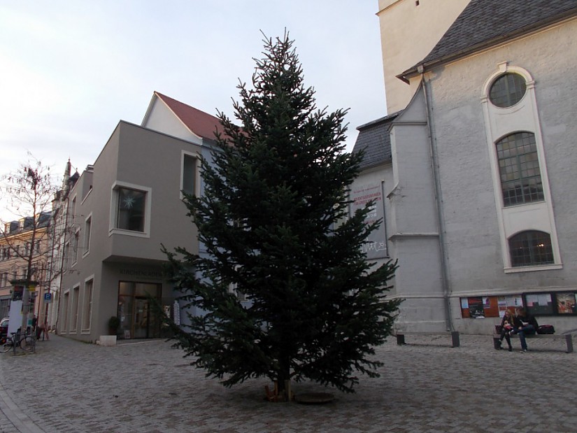 Weihnachtsbaum auf dem Herderplatz, Foto: Radio Lotte