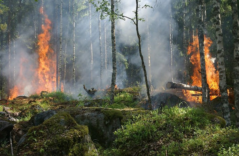 Waldbrand, Quelle: Pixabay