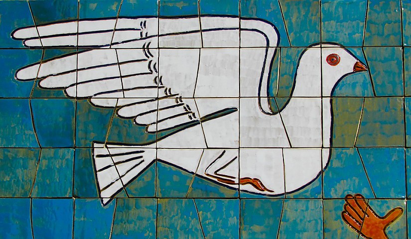 Friedenstaube, Quelle: Pixabay Friedenstaube, Quelle: Pixabay