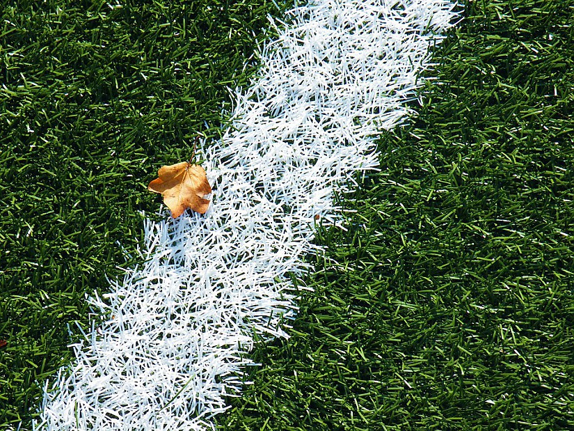 Kunstrasen (Symbolbild), Quelle: Pixabay