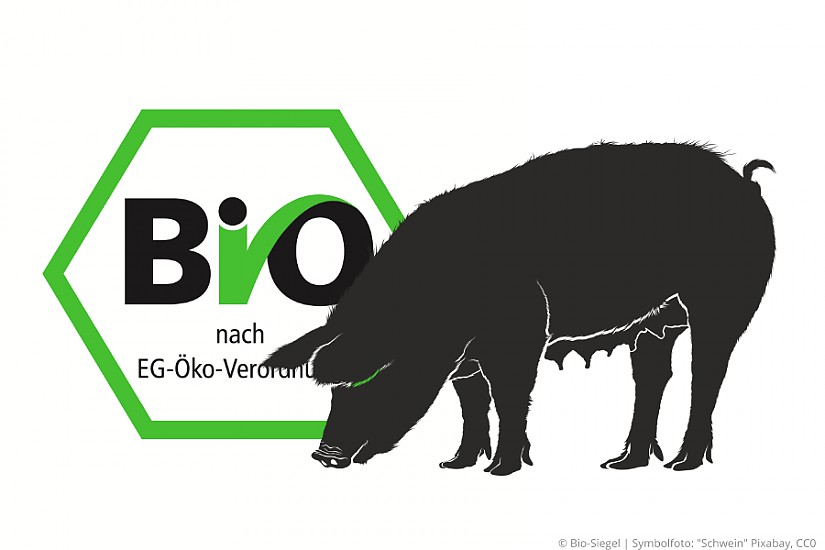 "Bio-Fleisch" | Symbolfoto RadioLOTTE