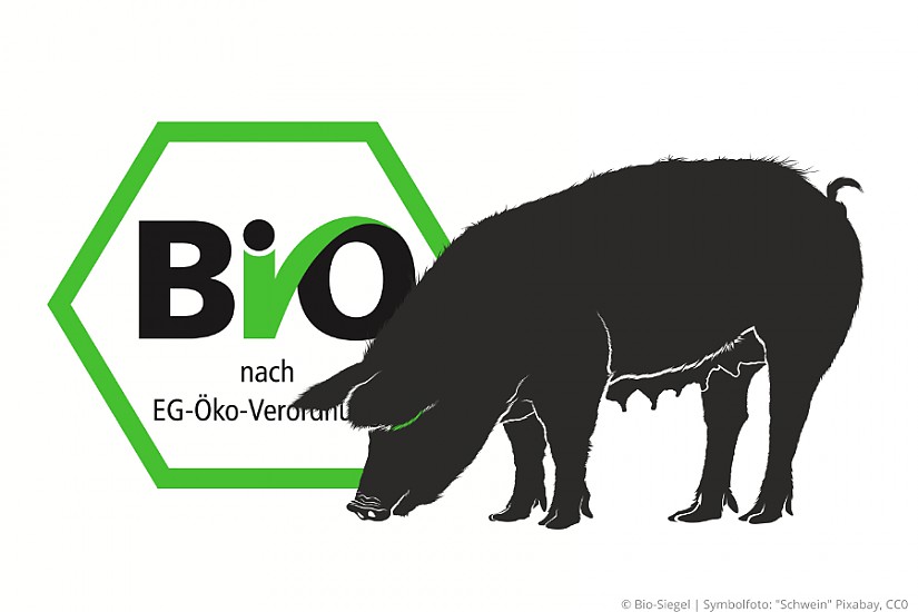 "Bio-Fleisch" | Symbolfoto RadioLOTTE "Bio-Fleisch" | Symbolfoto RadioLOTTE