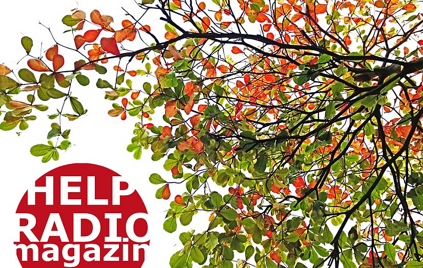 Help im Oktober, Grafikquelle: Pixabay Help im Oktober, Grafikquelle: Pixabay