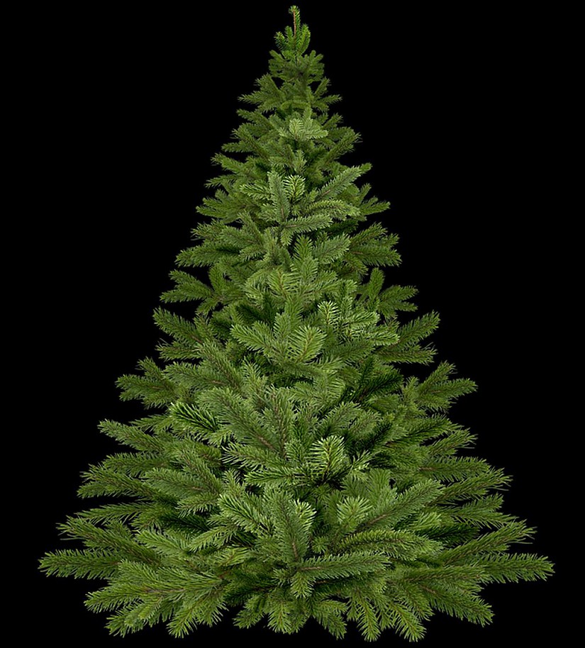 Weihnachtsbaum abgeschmückt (Symbolbild), Quelle: Pixabay