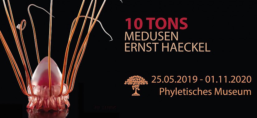 Flyer: Sonderausstellung »10 Tons · Medusen · Ernst Haeckel« Flyer: Sonderausstellung »10 Tons · Medusen · Ernst Haeckel«