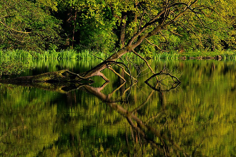 Gewässer, Quelle: Pixabay Gewässer, Quelle: Pixabay