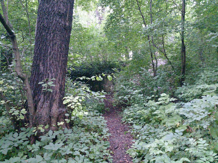 Station #3 - Rabenwäldchen, Foto: Florence von der Weth