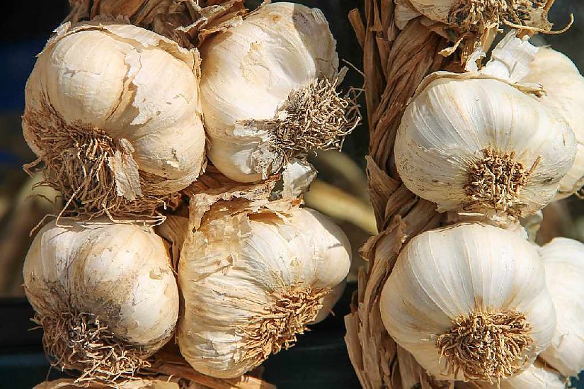 Zwiebeln (Symbolfoto; Quelle: Pixabay.de) Zwiebeln (Symbolfoto; Quelle: Pixabay.de)