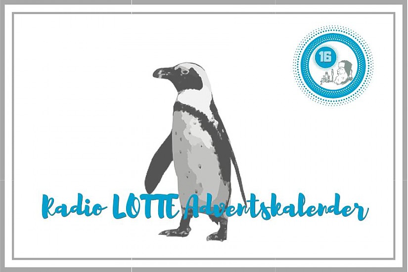 Radio LOTTE Adventskalender - 16. Türchen, Quelle: Pixabay Radio LOTTE Adventskalender - 16. Türchen, Quelle: Pixabay