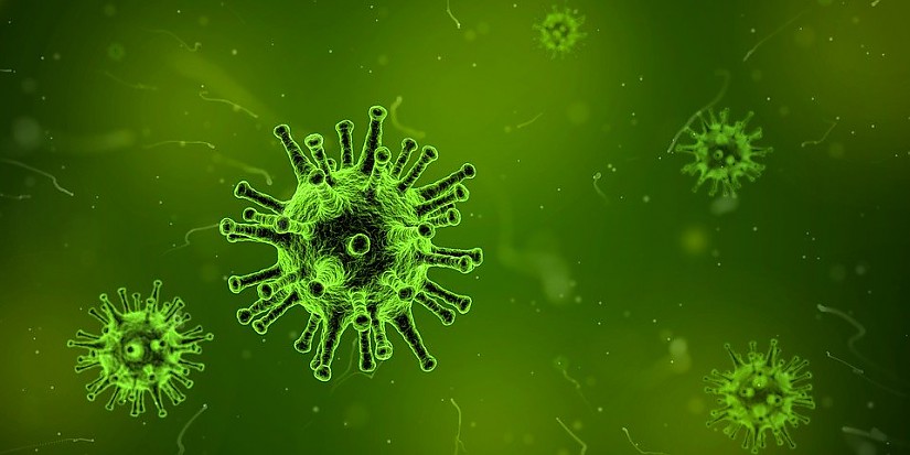 Virus Symbolbild, Quelle: Pixabay