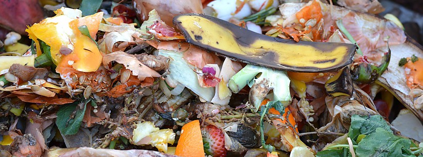 Kompost-Abfall - Symbolbild, Quelle: Pixabay