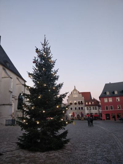 Weihnachtsbaum auf dem Herderplatz (Foto: Stadt Weimar/Archivbild, 2020)