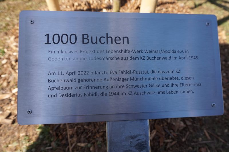 Eva Pusztai-Fahidi pflanzt Gedenkbaum in der Andersenstraße (Foto: Lebenshilfe-Werk Weimar/Apolda e.V.) 