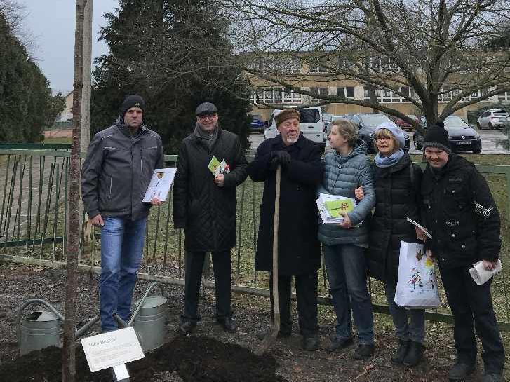 Lebendiges Denkmal: 106. Baum auf dem Weg der „1000 Buchen" Lebendiges Denkmal: 106. Baum auf dem Weg der „1000 Buchen"