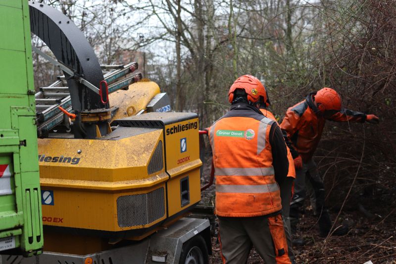 Beginn der Entfernung des Wildwuchses am 22. Januar (Foto: Stadt Weimar)  Beginn der Entfernung des Wildwuchses am 22. Januar (Foto: Stadt Weimar)