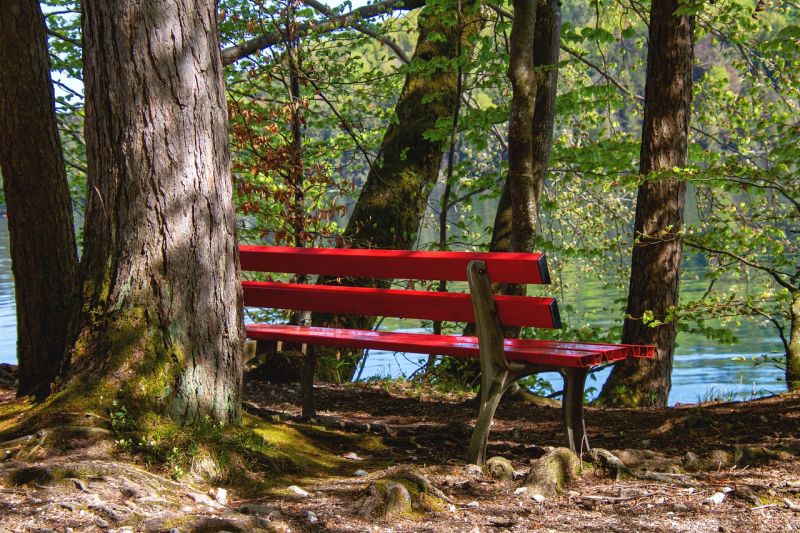 Rote Bank (Symbolbild; Pixabay.com) Rote Bank (Symbolbild; Pixabay.com)