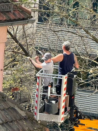 Notsicherung des Daches auf dem Volkshaus (Foto: Stadt Weimar)