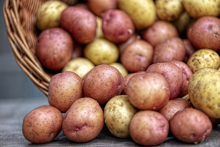 Kartoffeln (Symbolbild; Pixabay.com)