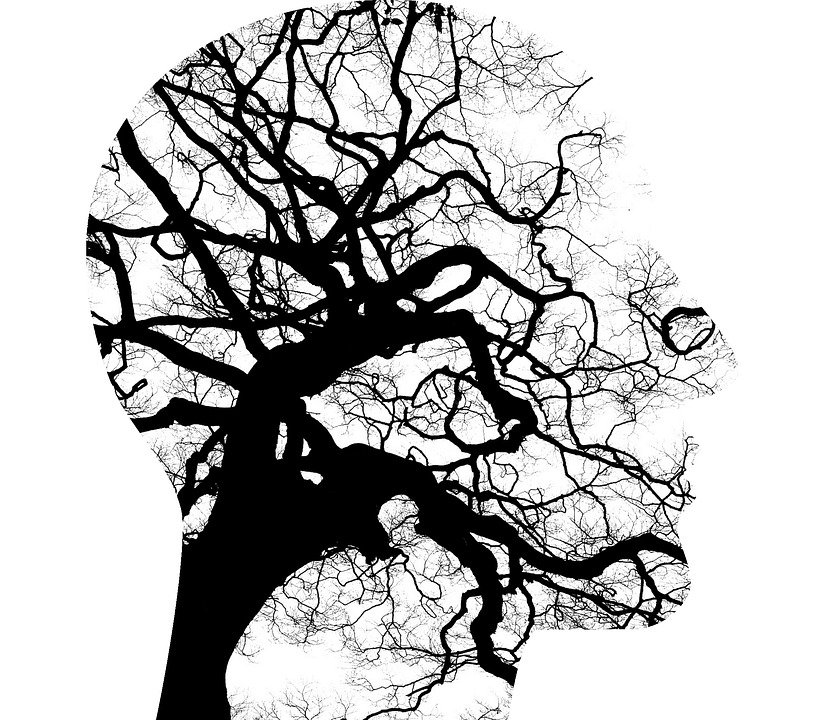 Trauma -Symbolbild, Quelle: Pixabay Trauma -Symbolbild, Quelle: Pixabay