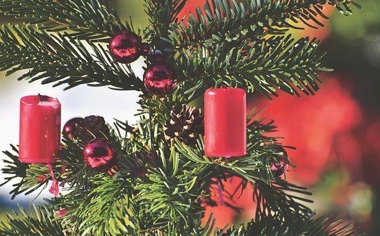 Weihnachtsbaum - Symbolbild Quelle Pixabay